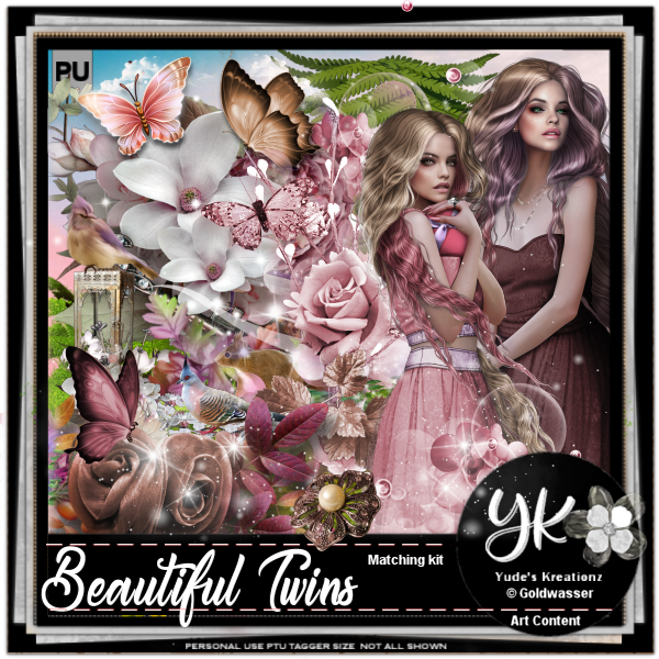 (image for) Beautiful Twin